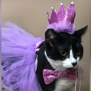 Meet your Posher, Ruby